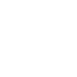 DaftBird Logo
