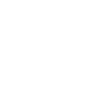 HFF_Logo