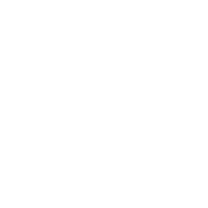 HFF Logo