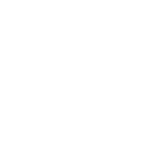 OnePlayer_Logo Text