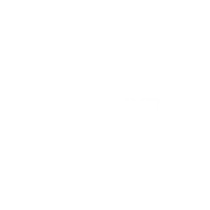 OnePlayer Logo Text