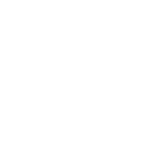 OnePlayer_Logo