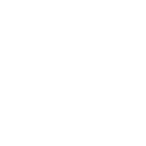 OnePlayer Logo