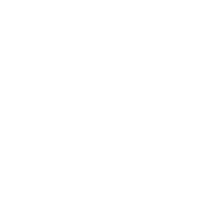 PayIO_Logo