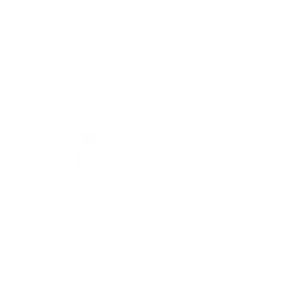 PayIO brand logo
