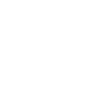 Silly Hacks_Logo