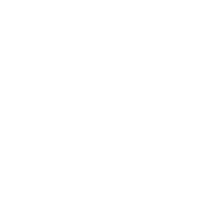 Silly Hacks Logo 1