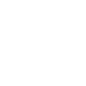 Synthesis_Logo