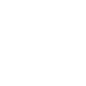 Toros_Logo
