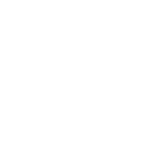 Toros Logo